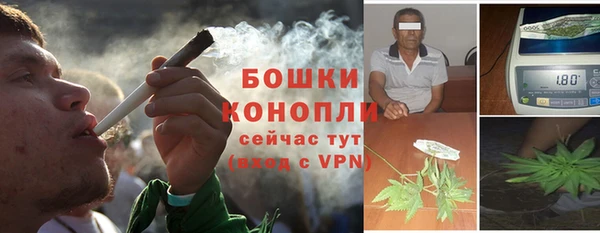 стаф Бикин