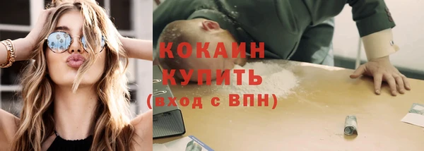 стаф Бикин