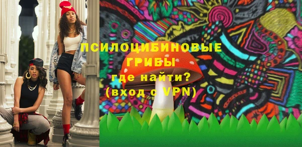 стафф Няндома